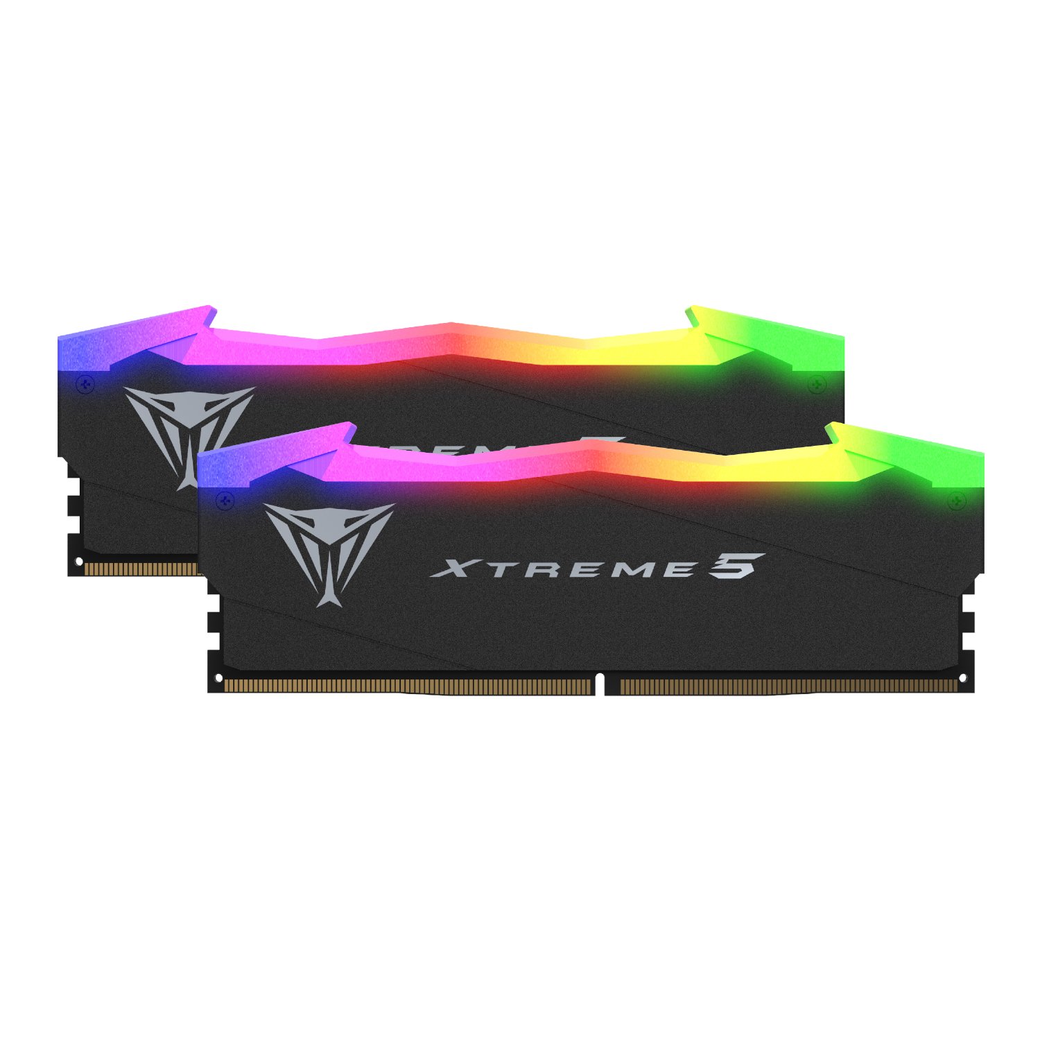 PATRIOT_PVXR532G80C38K_wr_01b.jpg