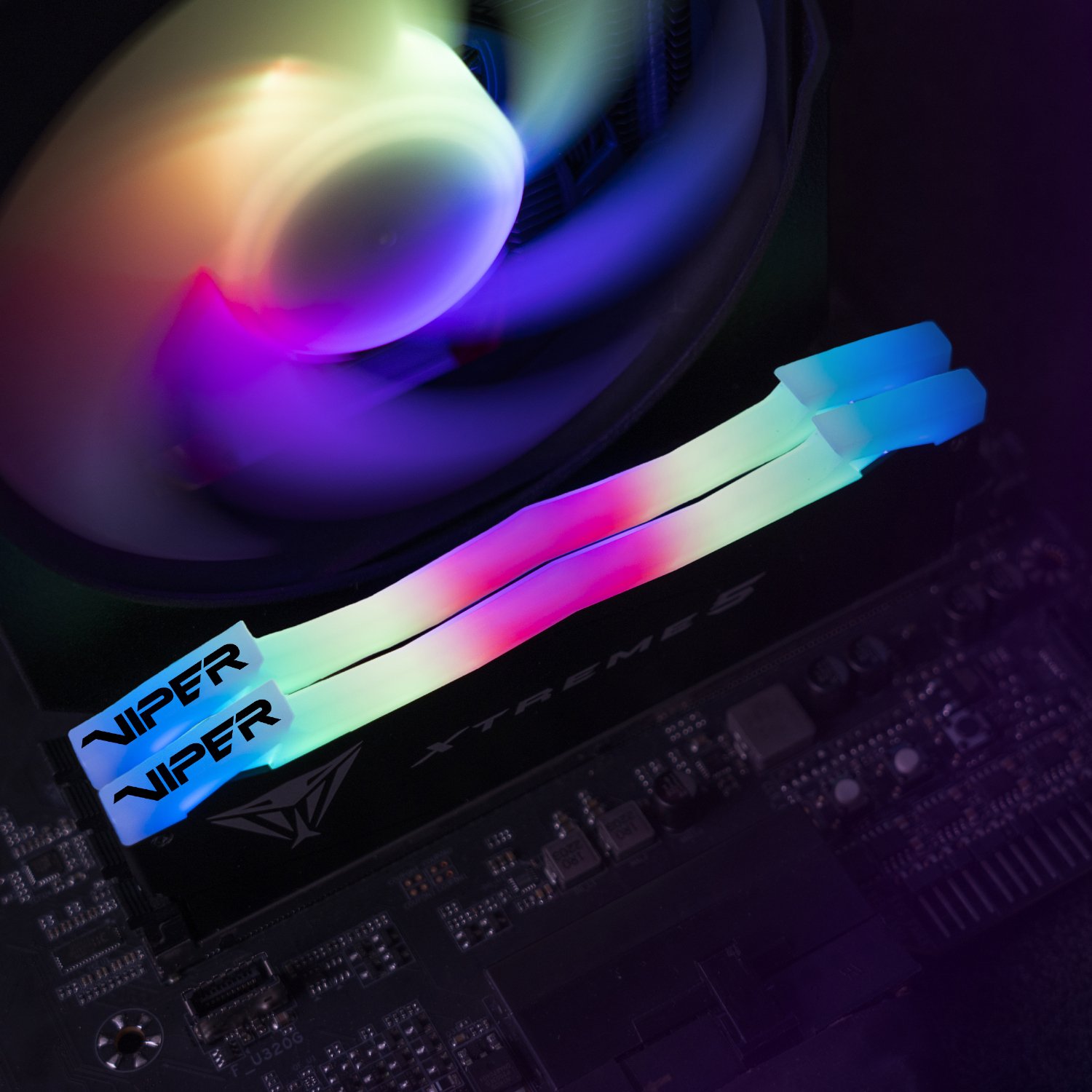 PATRIOT_PVXR532G80C38K_wr_05a.jpg