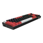 RD-K631RGB-PRO-BRW_wr_01-2